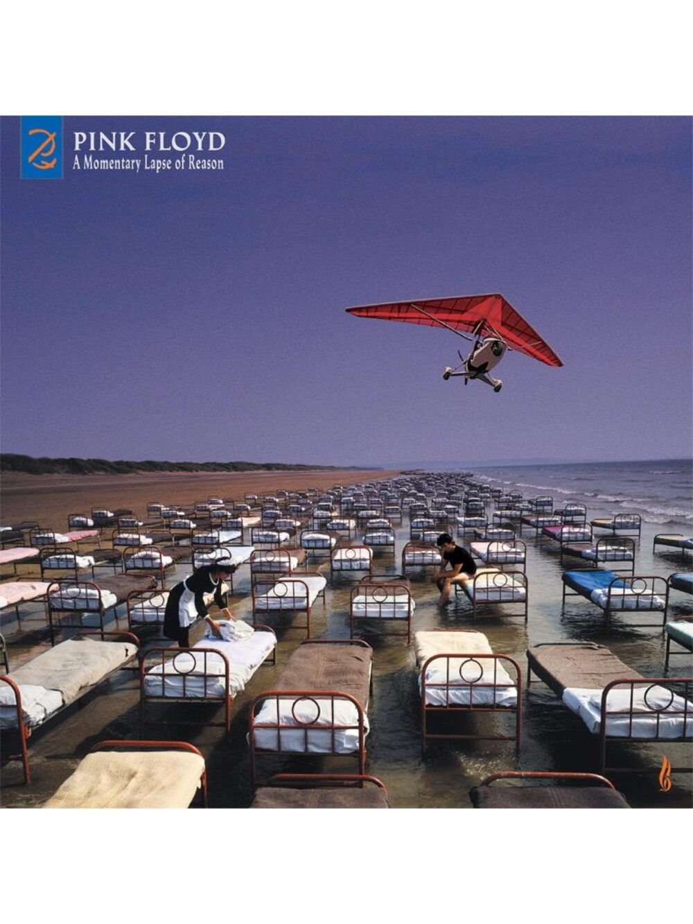 Remixed & Updated Music Album - A Momentary Lapse Of Reason, Vinyl Collectible
